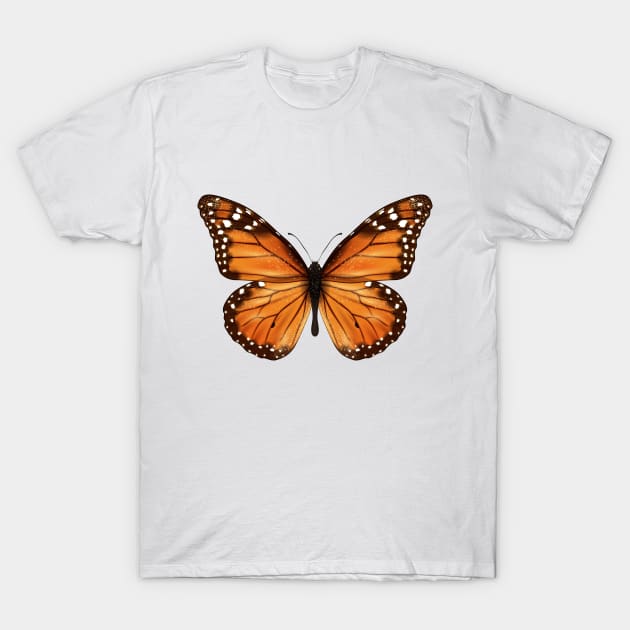 Vintage Butterfly T-Shirt by LittleMissy